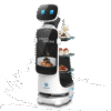 robot phuc vu dinerbot t10 1