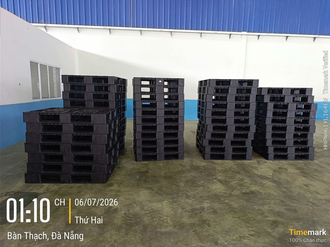 Lupus viet nam pallet nhua da nang