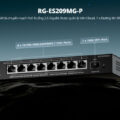 chau ngoc long rg es209mg p.jpg